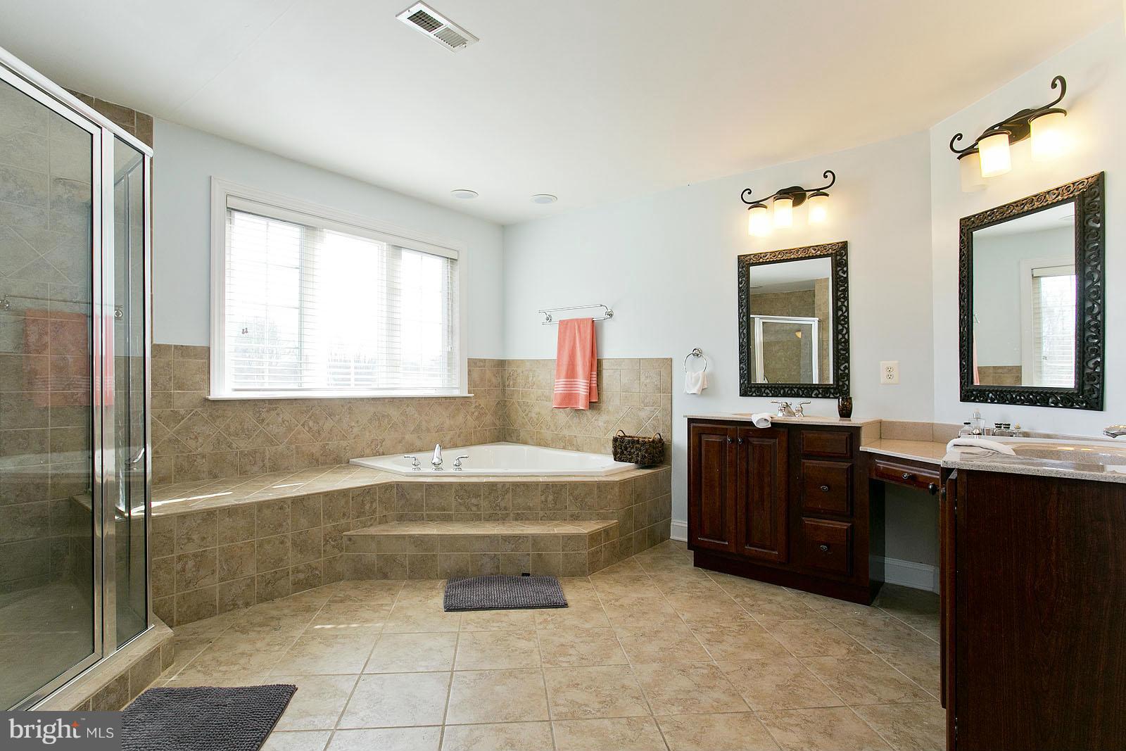 462 Apple Pie Ridge Road Winchester, VA 22603 - Photo 22 of 30 Bath (Master)