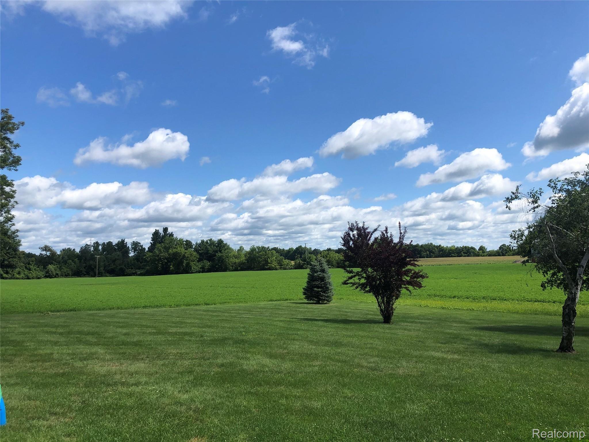 3775 Newark Road Attica, MI 48412 - Photo 24 of 24 yard (4).JPG