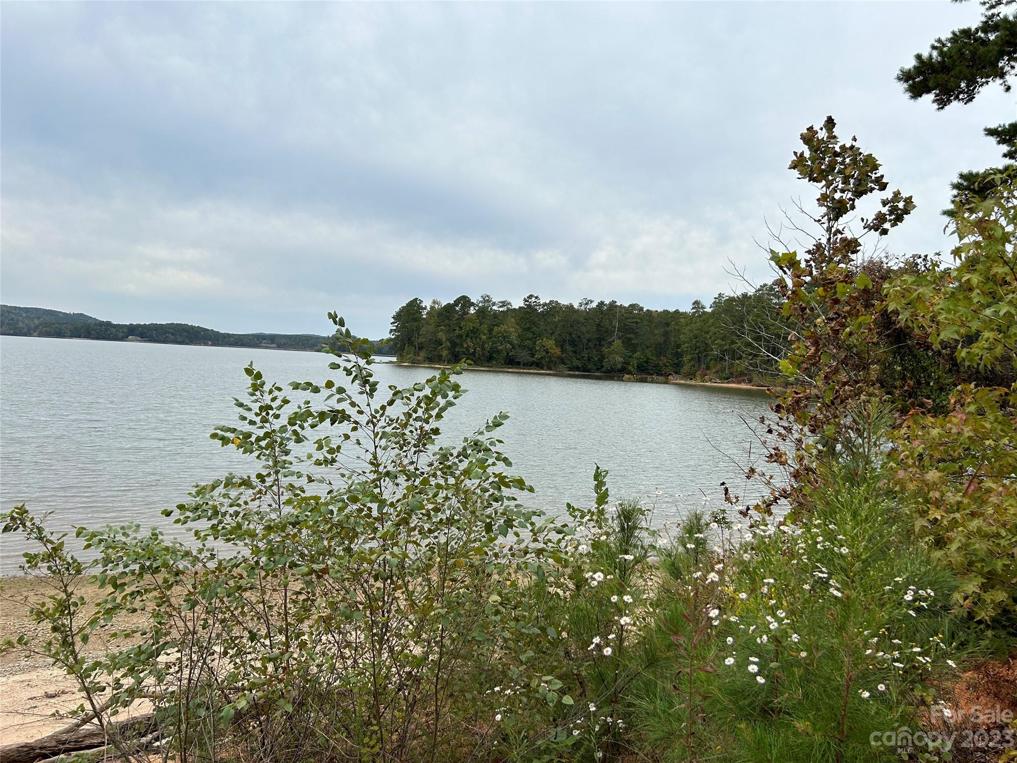 58 North State Lane, Unit 58 Rockingham, NC 28379 - Photo 5 of 5 a view of lake