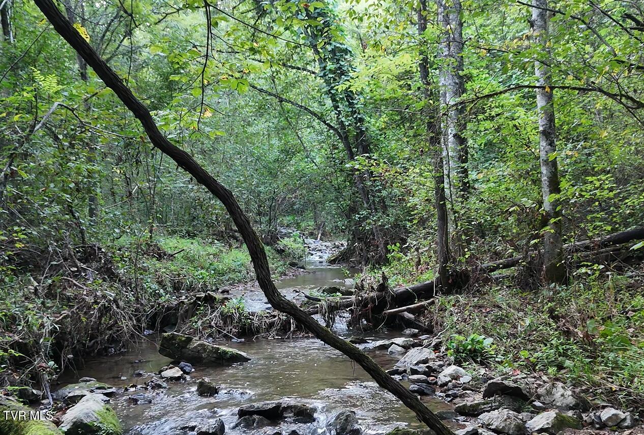 0 Ford Branch Road Duffield, VA 24244 - Photo 10 of 15 Ford Branch Creek 2