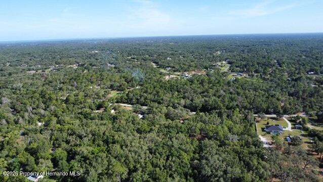 0 Little Ranch Road Spring Hill, FL 34610 - Photo 12 of 25