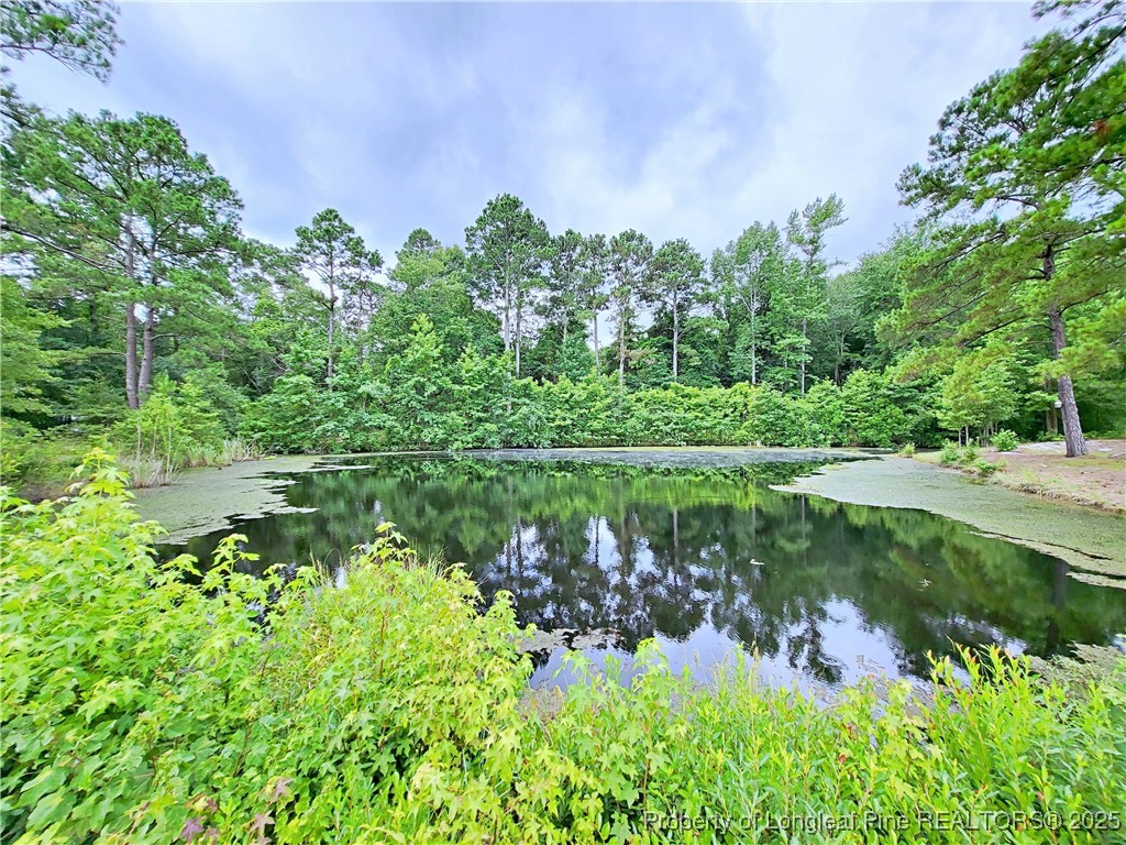 7246 Faircloth Bridge Road Stedman, NC 28391 - Photo 3 of 47 Gallery Image 3