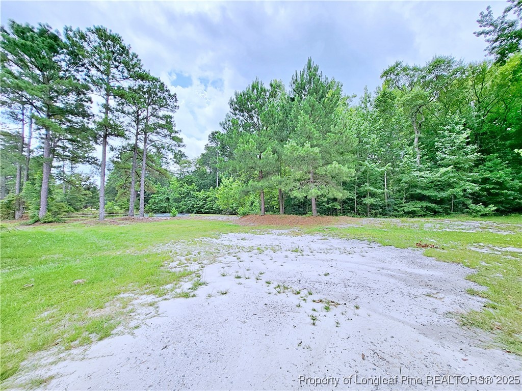 7246 Faircloth Bridge Road Stedman, NC 28391 - Photo 43 of 47 Gallery Image 43