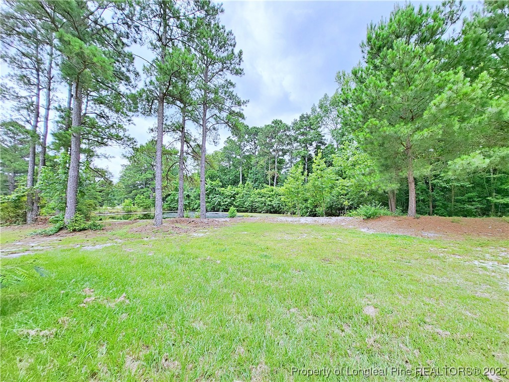 7246 Faircloth Bridge Road Stedman, NC 28391 - Photo 44 of 47 Gallery Image 44