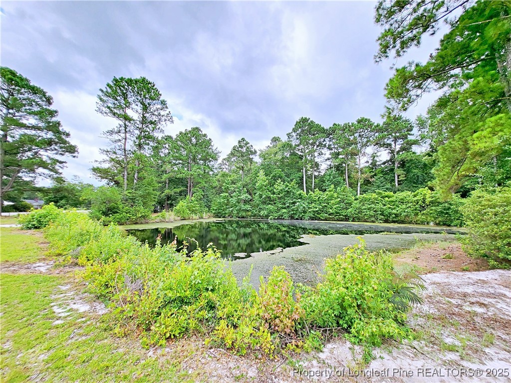 7246 Faircloth Bridge Road Stedman, NC 28391 - Photo 45 of 47 Gallery Image 45