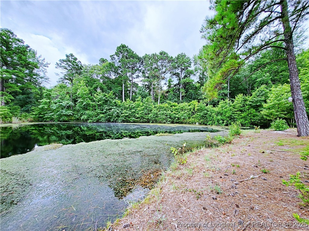 7246 Faircloth Bridge Road Stedman, NC 28391 - Photo 46 of 47 Gallery Image 46