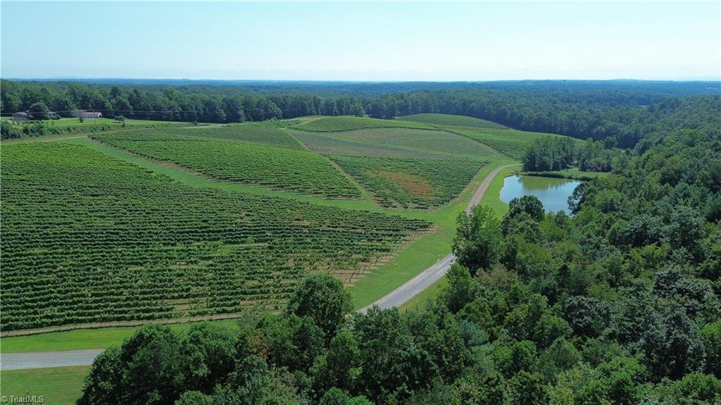 440 Old Railroad Grade Road Thurmond, NC 28683 - Photo 47 of 50