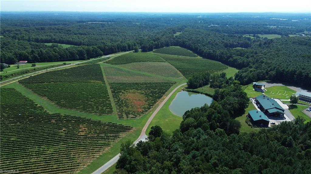 440 Old Railroad Grade Road Thurmond, NC 28683 - Photo 49 of 50