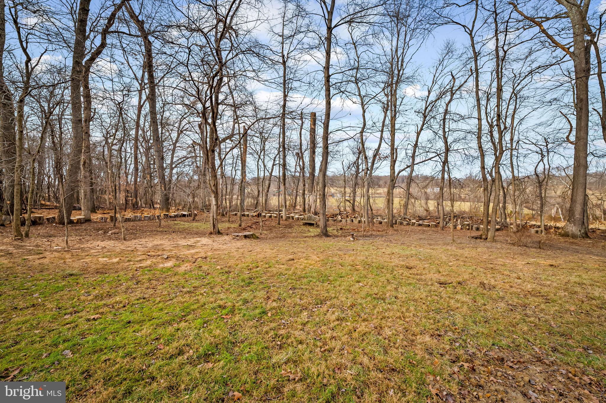 1008 Cold Bottom Road Sparks Glencoe, MD 21152 - Photo 59 of 59 a view of yard space with trees