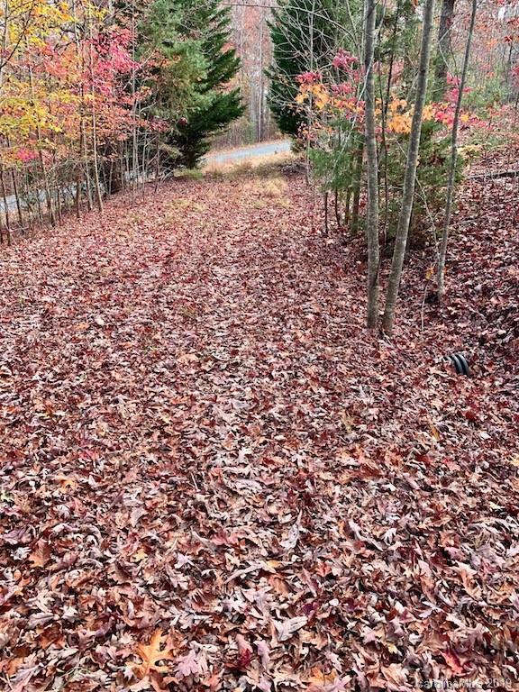 999 Cross Ridge Drive Rutherfordton, NC 28139 - Photo 1 of 13
