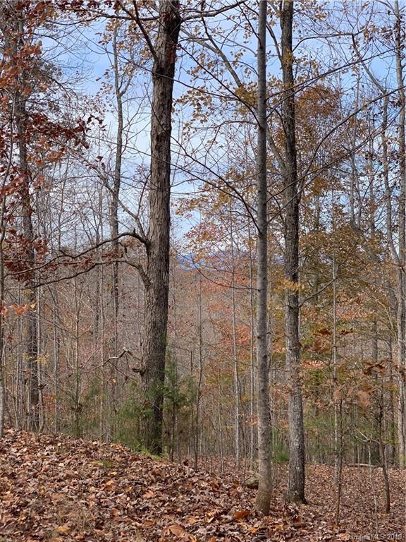 999 Cross Ridge Drive Rutherfordton, NC 28139 - Photo 2 of 13