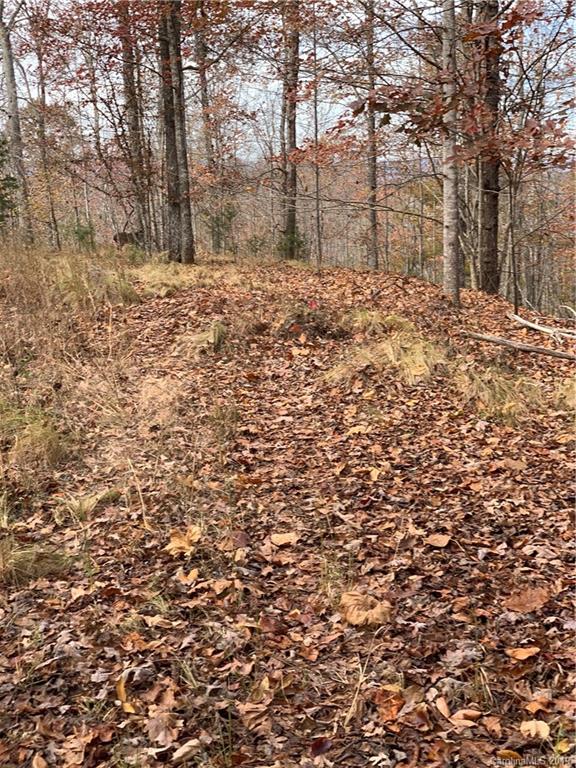 999 Cross Ridge Drive Rutherfordton, NC 28139 - Photo 11 of 13