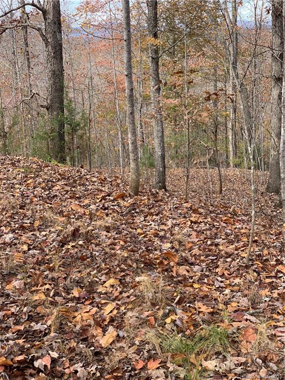 999 Cross Ridge Drive Rutherfordton, NC 28139 - Photo 12 of 13