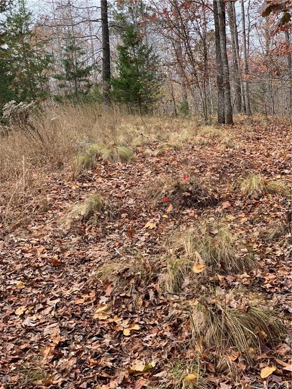 999 Cross Ridge Drive Rutherfordton, NC 28139 - Photo 3 of 13