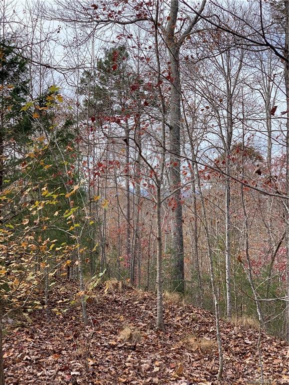 999 Cross Ridge Drive Rutherfordton, NC 28139 - Photo 5 of 13