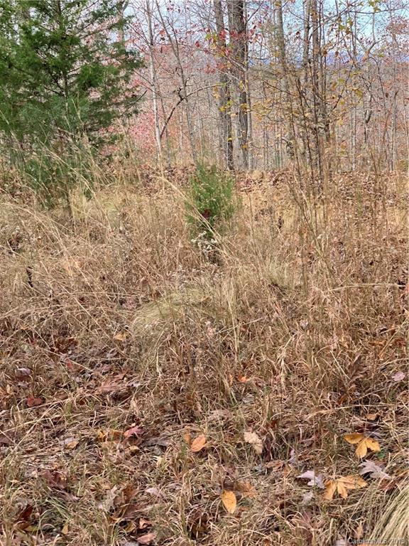 999 Cross Ridge Drive Rutherfordton, NC 28139 - Photo 6 of 13