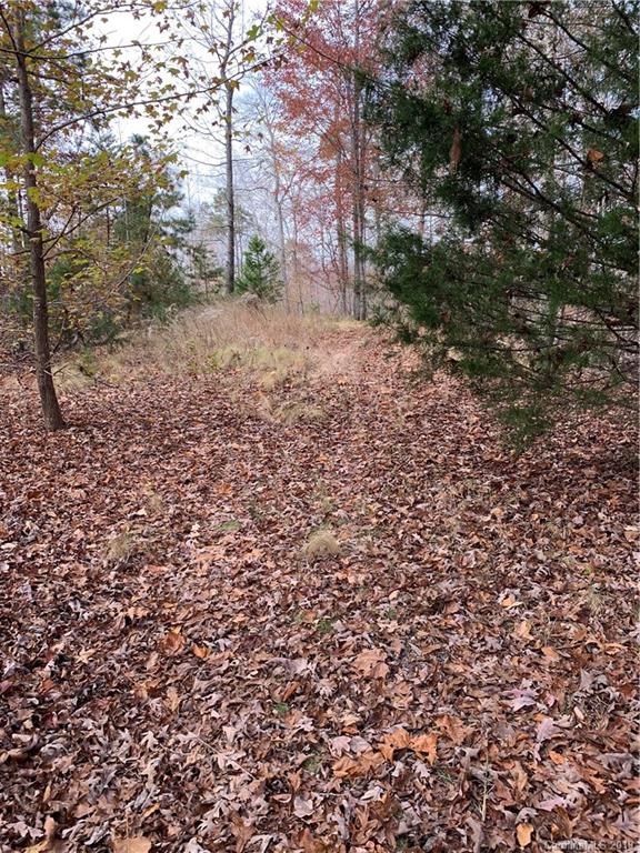 999 Cross Ridge Drive Rutherfordton, NC 28139 - Photo 7 of 13