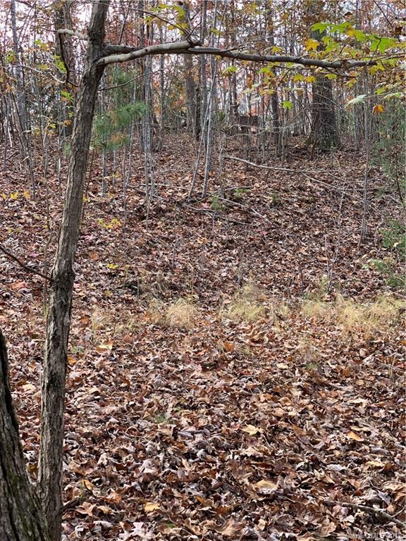 999 Cross Ridge Drive Rutherfordton, NC 28139 - Photo 8 of 13