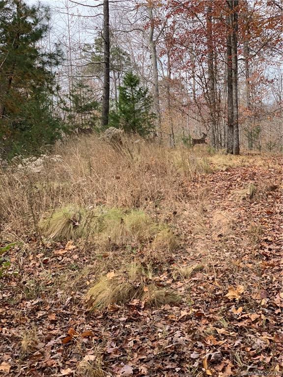 999 Cross Ridge Drive Rutherfordton, NC 28139 - Photo 9 of 13