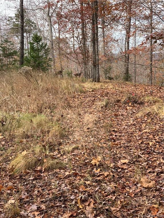 999 Cross Ridge Drive Rutherfordton, NC 28139 - Photo 10 of 13