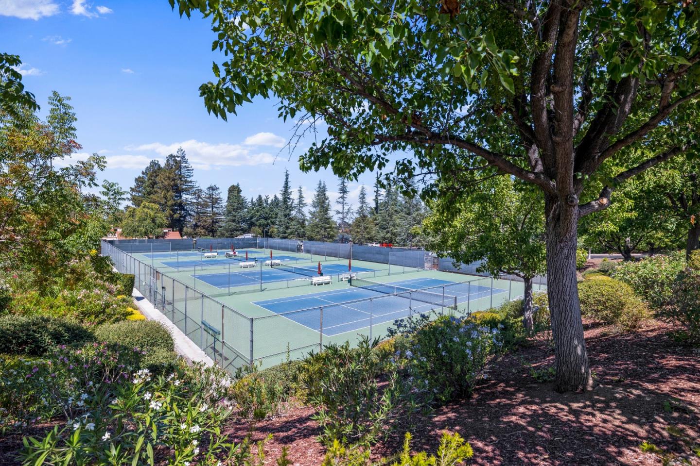 2016 Carignan Way San Jose, CA 95135 - Photo 42 of 44 a view of a basket ball ground