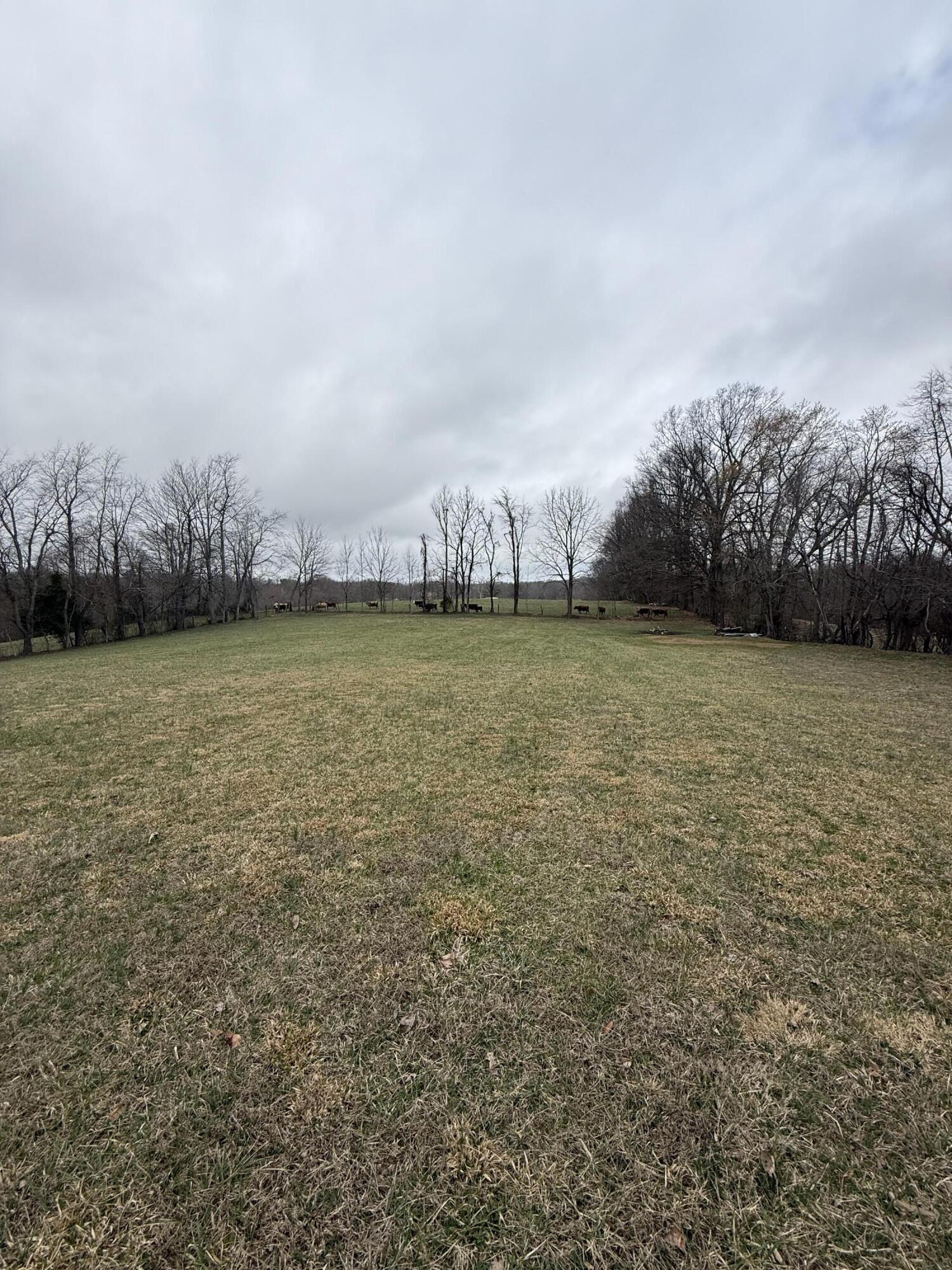 230 Johnson Road Waynesburg, KY 40489 - Photo 69 of 71 IMG_1870