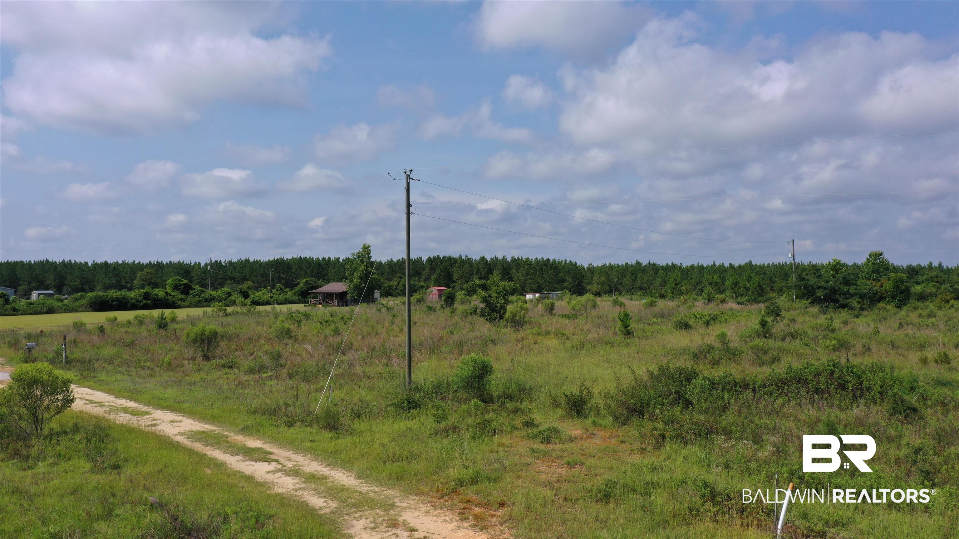 0 Highway 113 Flomaton, AL 36441 - Photo 1 of 24 View of landscape