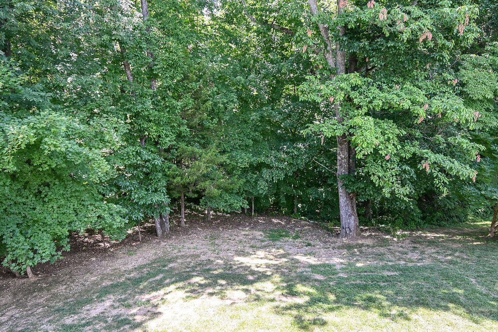 1023 Crossing Way Cleveland, TN 37312 - Photo 42 of 62 DSC_1236