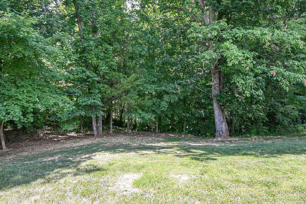 1023 Crossing Way Cleveland, TN 37312 - Photo 46 of 62 DSC_1242