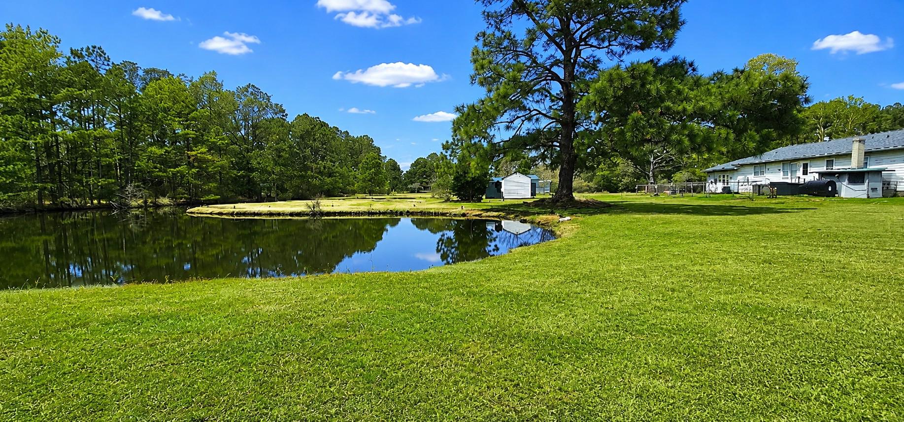 27351 Phoenix Church Road Crisfield, MD 21817 - Photo 14 of 21 Rear yard with tidal pond
