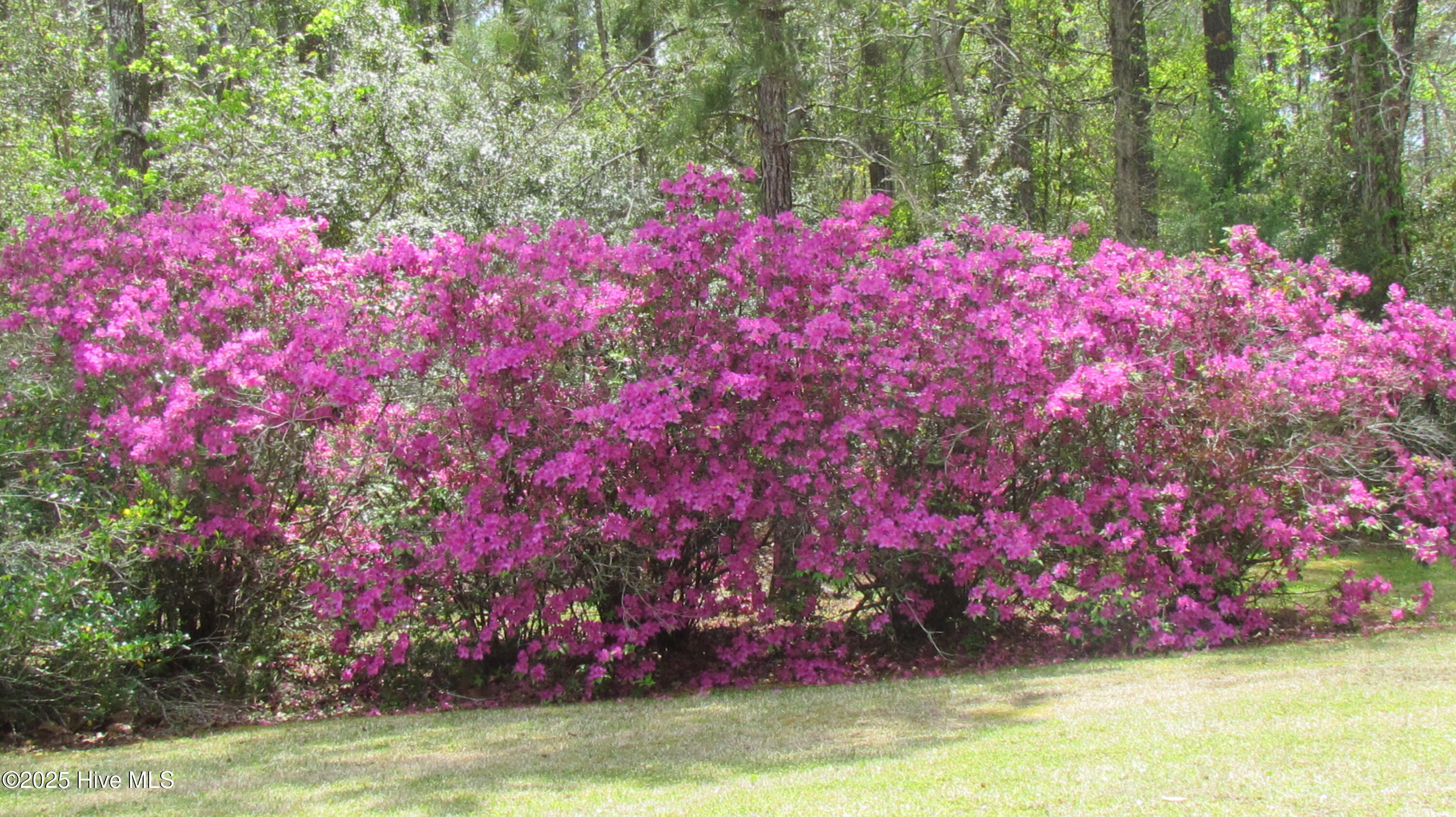 4414 Merrimon Road Beaufort, NC 28516 - Photo 61 of 71 IMG_5100