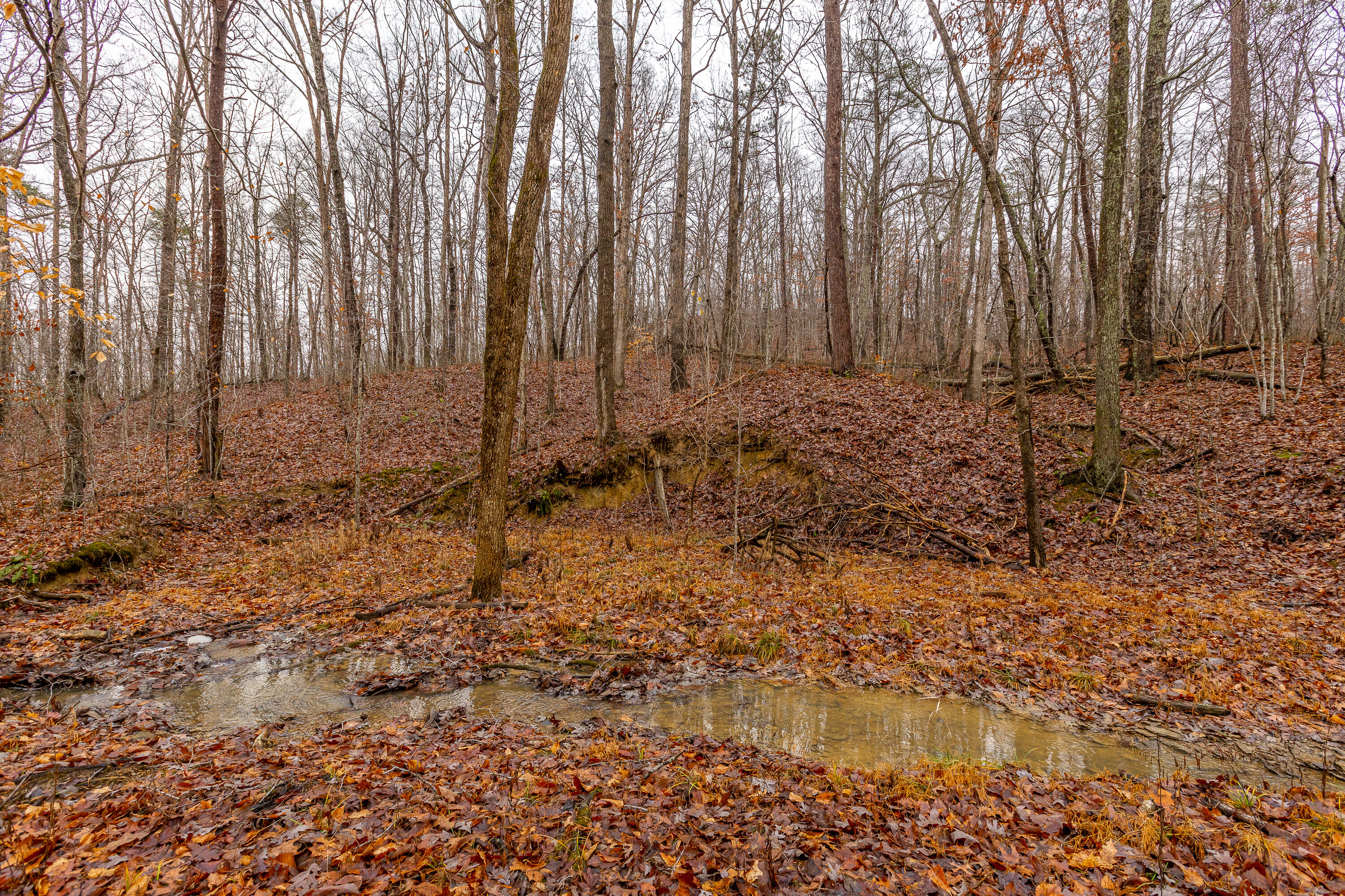 423 Gabbard Road Berea, KY 40403 - Photo 35 of 49 1-34