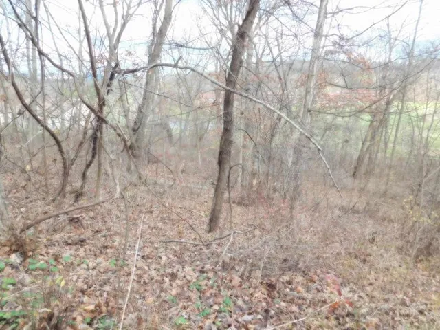 $57,500 | 1611 South Springs Drive, Spring Green, WI 53588