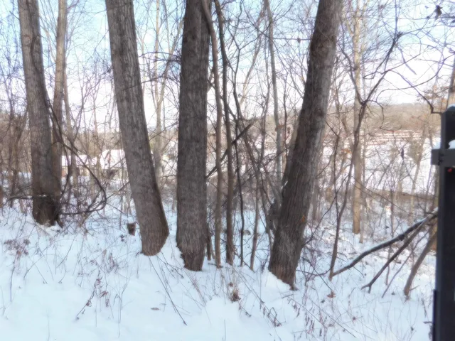 $57,500 | 1611 South Springs Drive, Spring Green, WI 53588