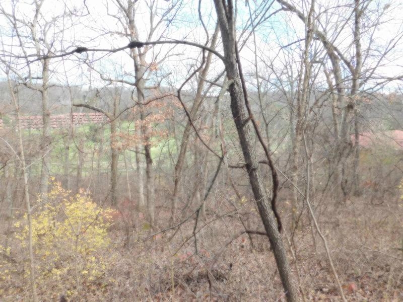 1611 South Springs Drive Spring Green, WI 53588 - Photo 8 of 11