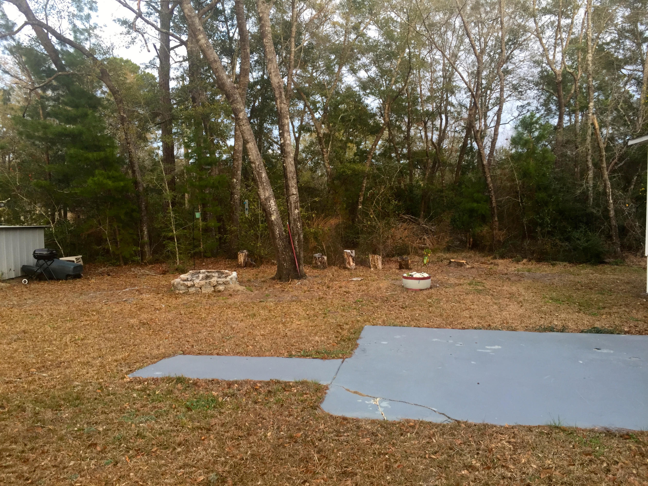 20 Blue Gill Road Freeport, FL 32439 - Photo 22 of 24 Front yard