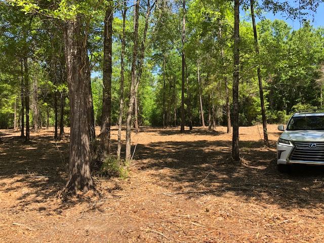 14000 County Road 54 Silverhill, AL 36576 - Photo 10 of 14