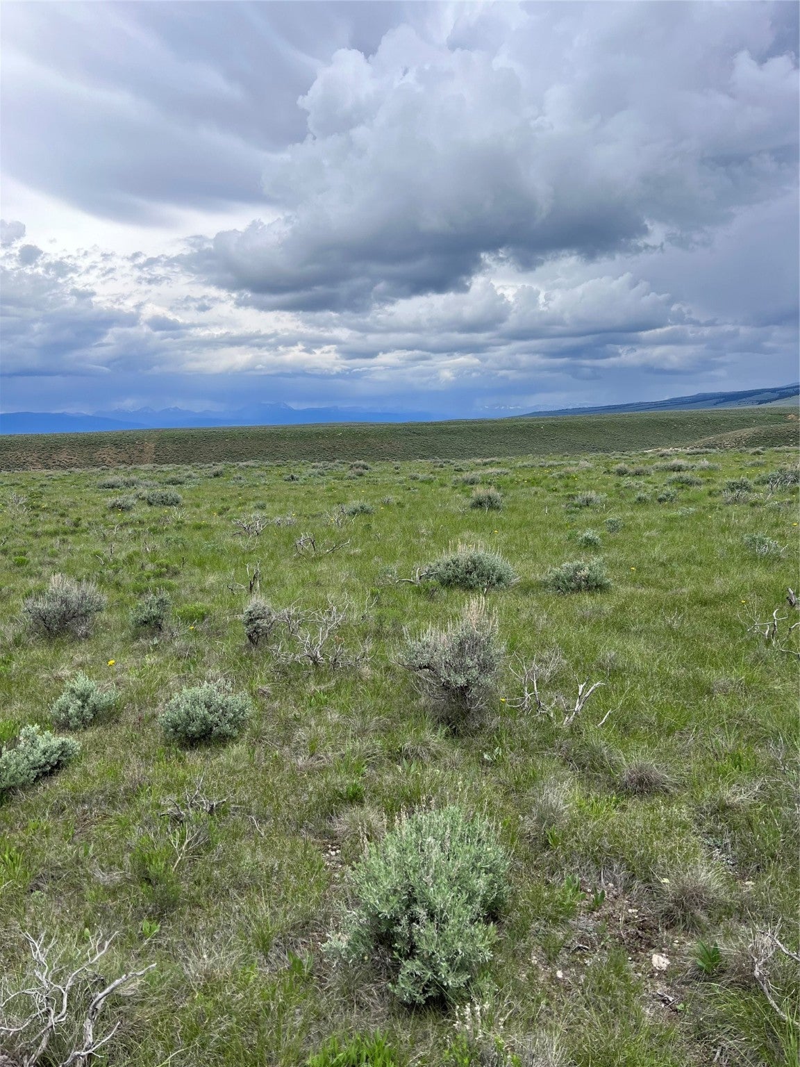 22 Steel Creek Road Wisdom, MT 59761 - Photo 3 of 8 Gallery Image 3