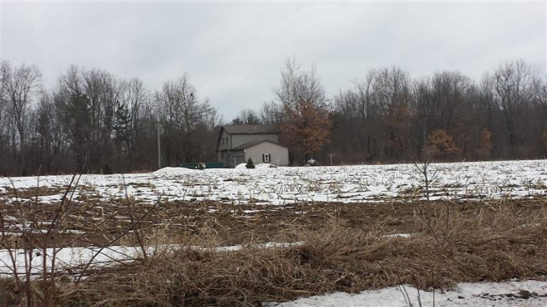 468 West Jenks Road Fenwick, MI 48834 - Photo 3 of 19 Additional Photo