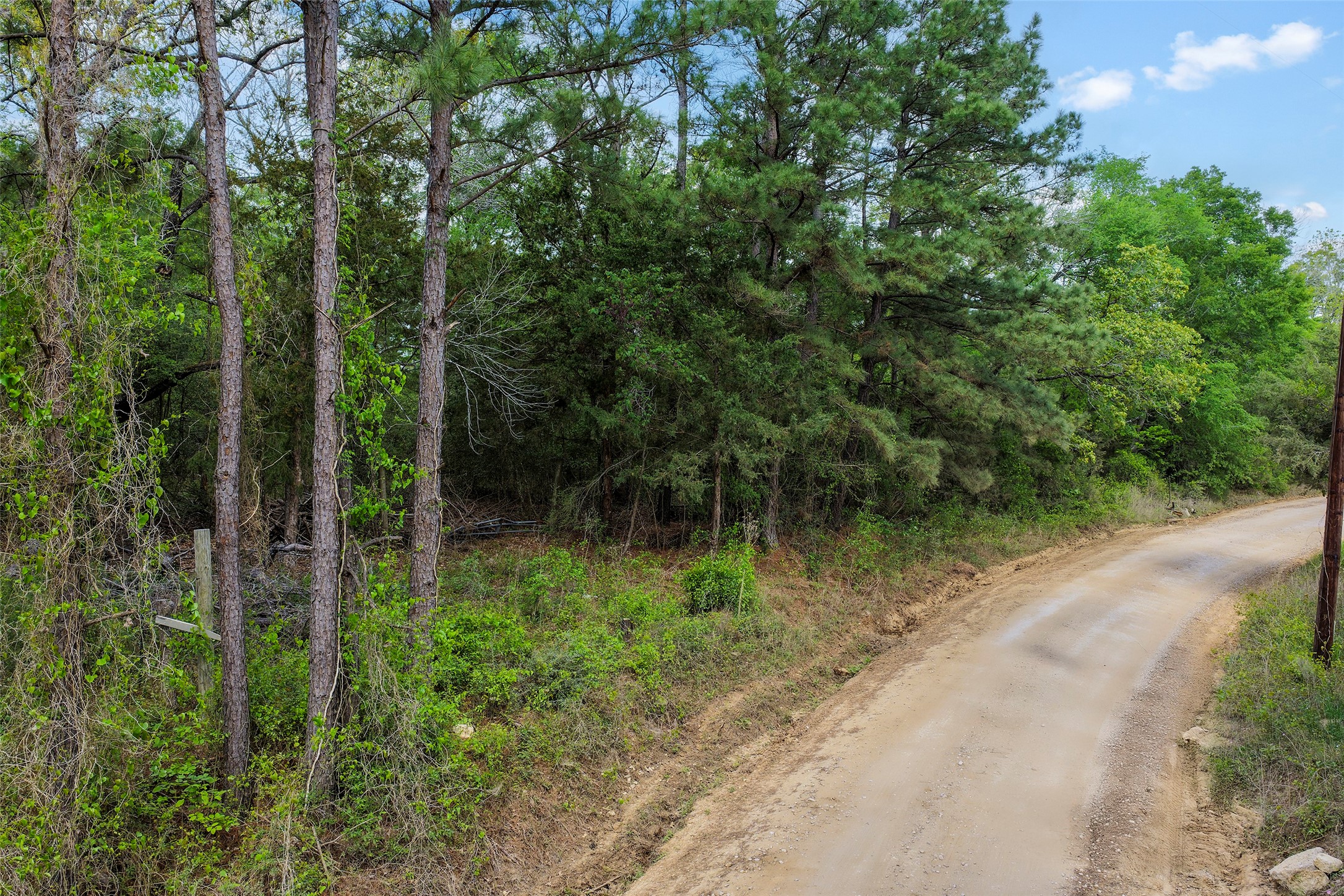 173 Townley Ranch Road Huntsville, TX 77320 - Photo 1 of 14 173 Townley Ranch Ro - 15.38 acres