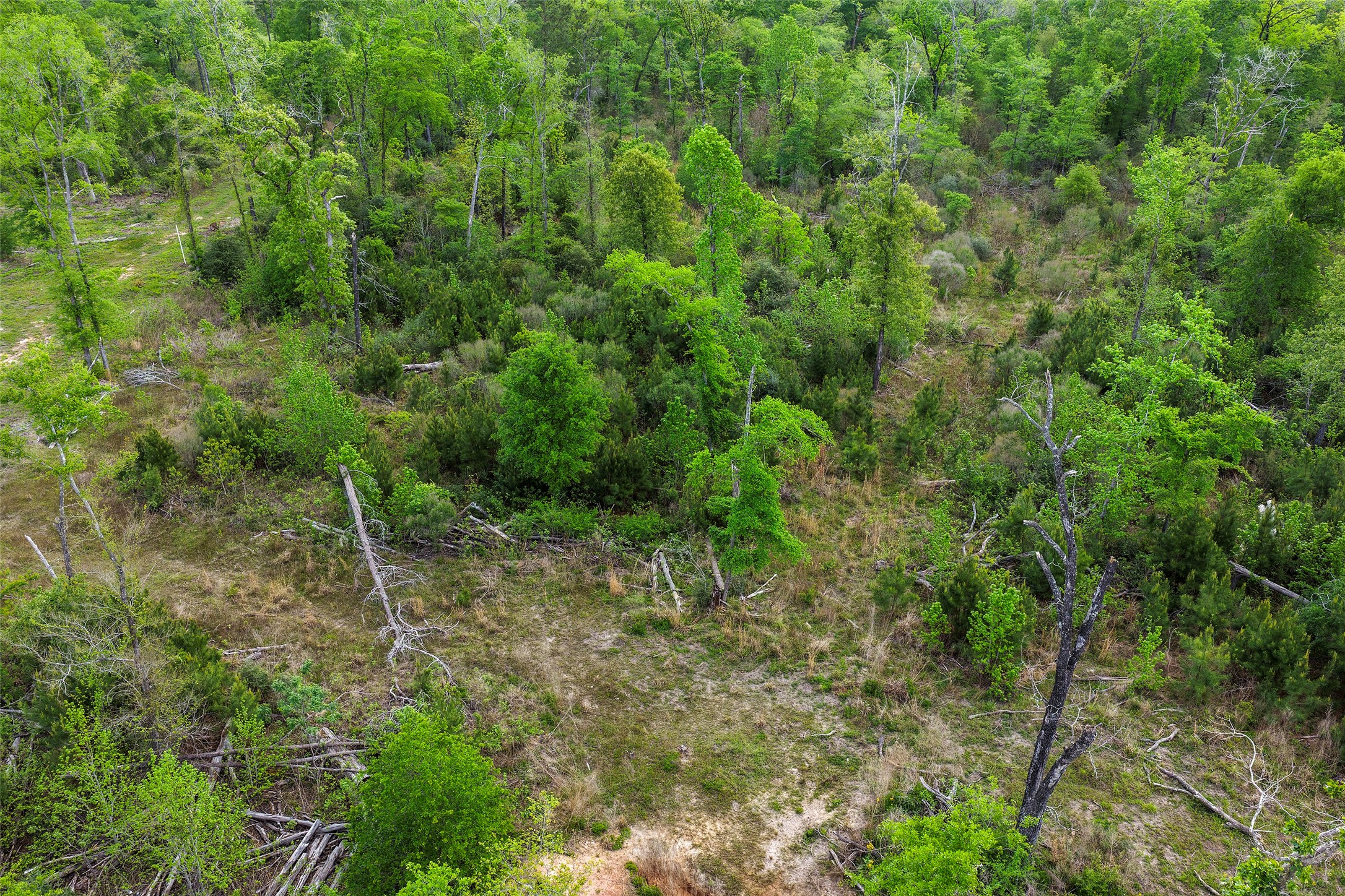 173 Townley Ranch Road Huntsville, TX 77320 - Photo 12 of 14