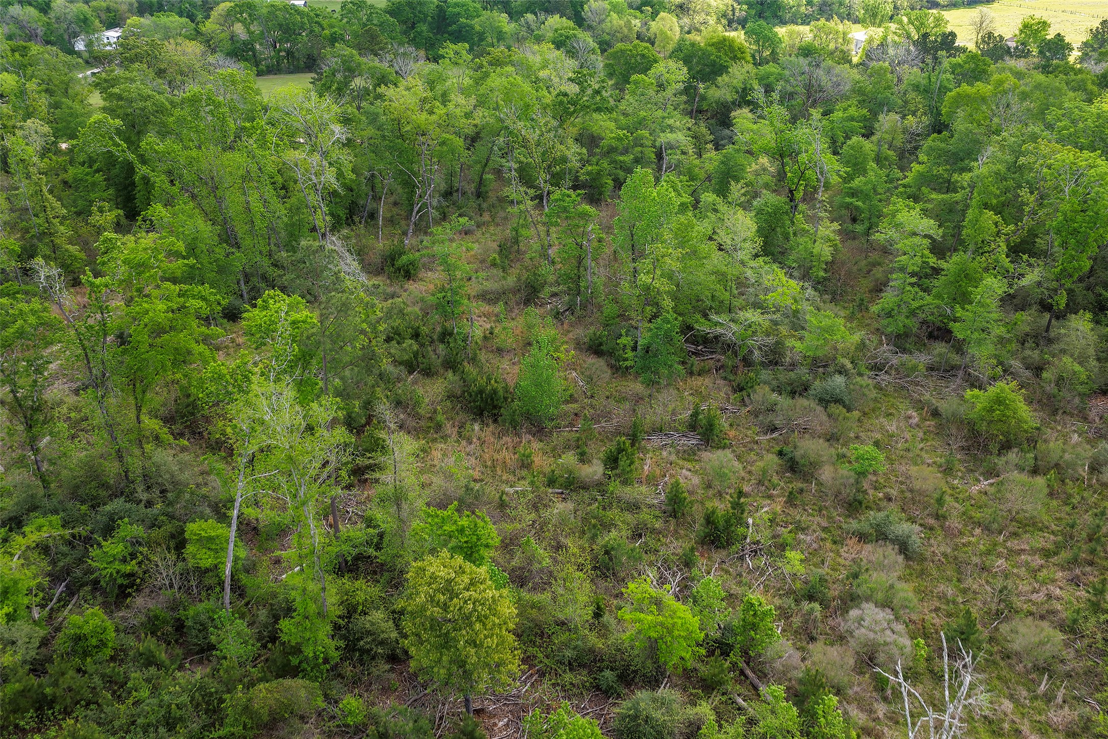 173 Townley Ranch Road Huntsville, TX 77320 - Photo 13 of 14