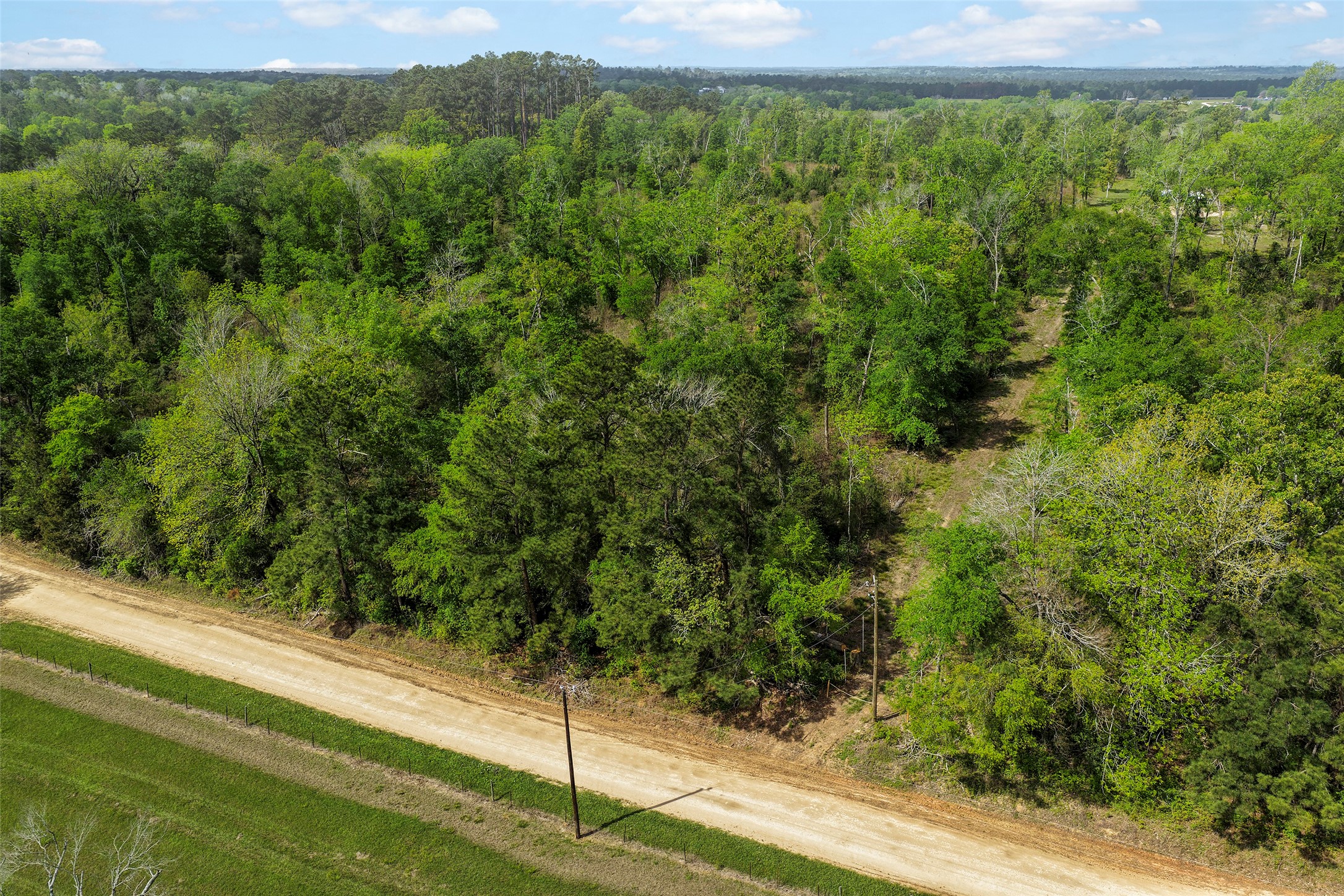 173 Townley Ranch Road Huntsville, TX 77320 - Photo 2 of 14 Country Living