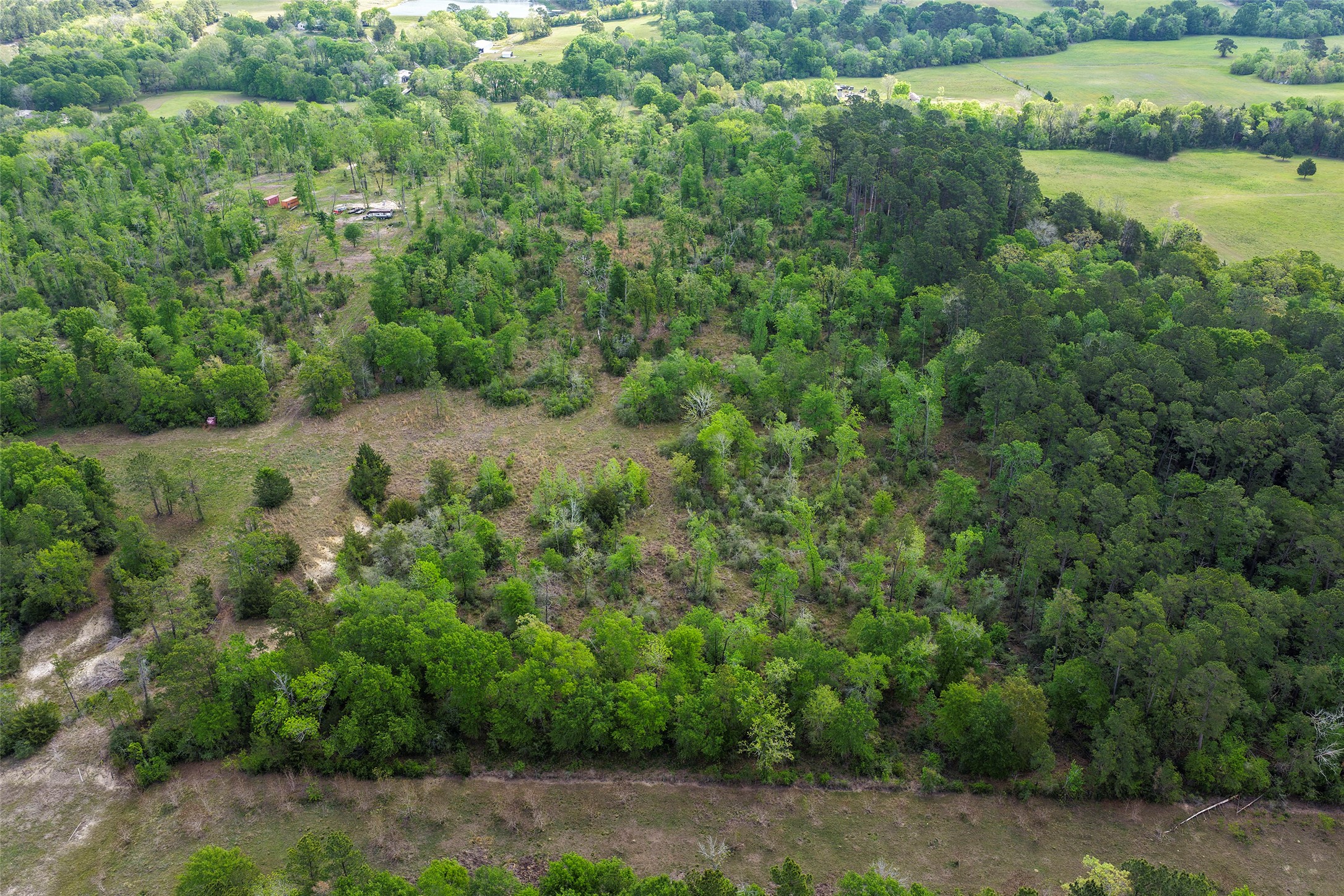173 Townley Ranch Road Huntsville, TX 77320 - Photo 4 of 14 Backside of Property