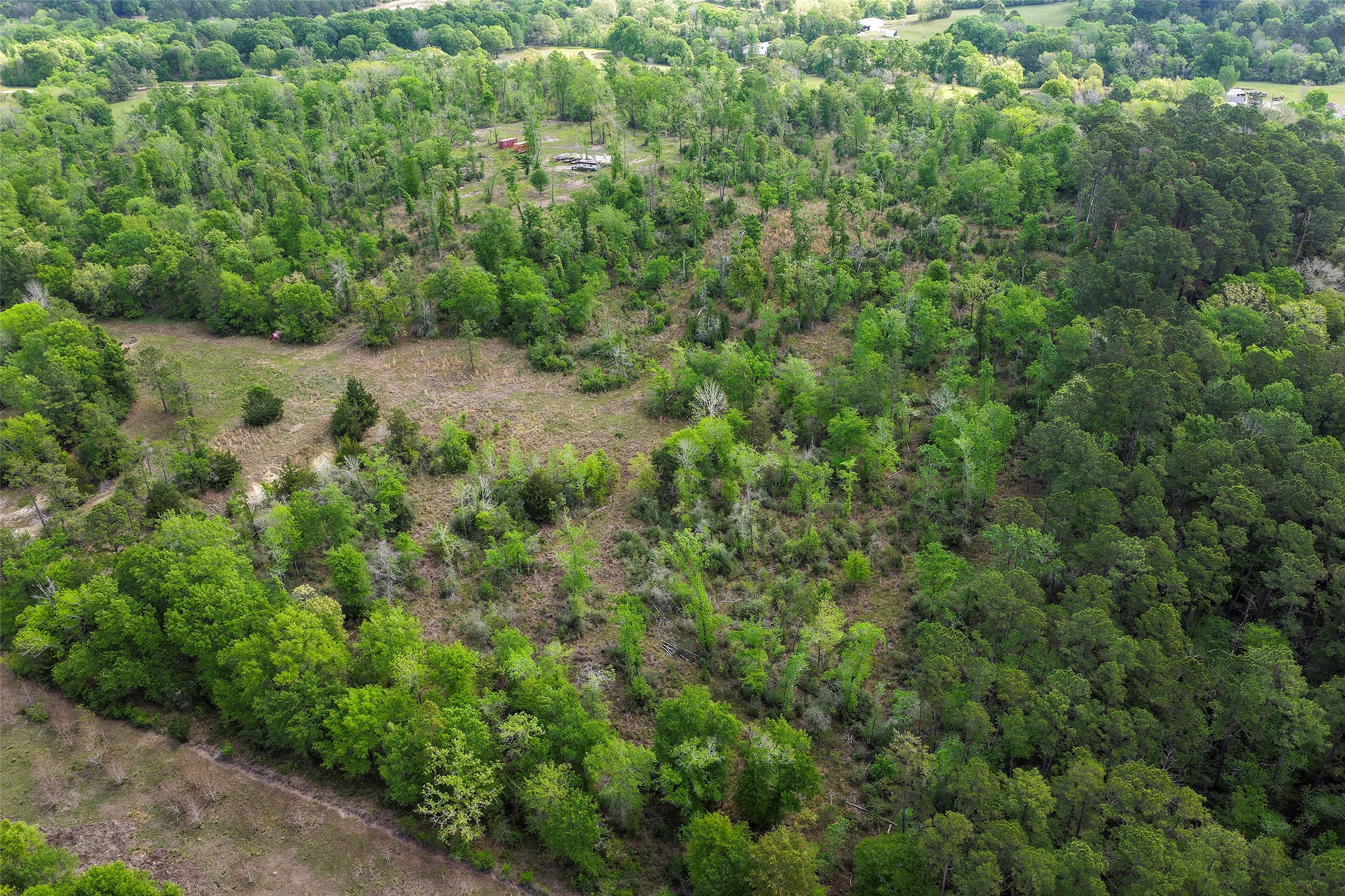 173 Townley Ranch Road Huntsville, TX 77320 - Photo 5 of 14 Backside of property