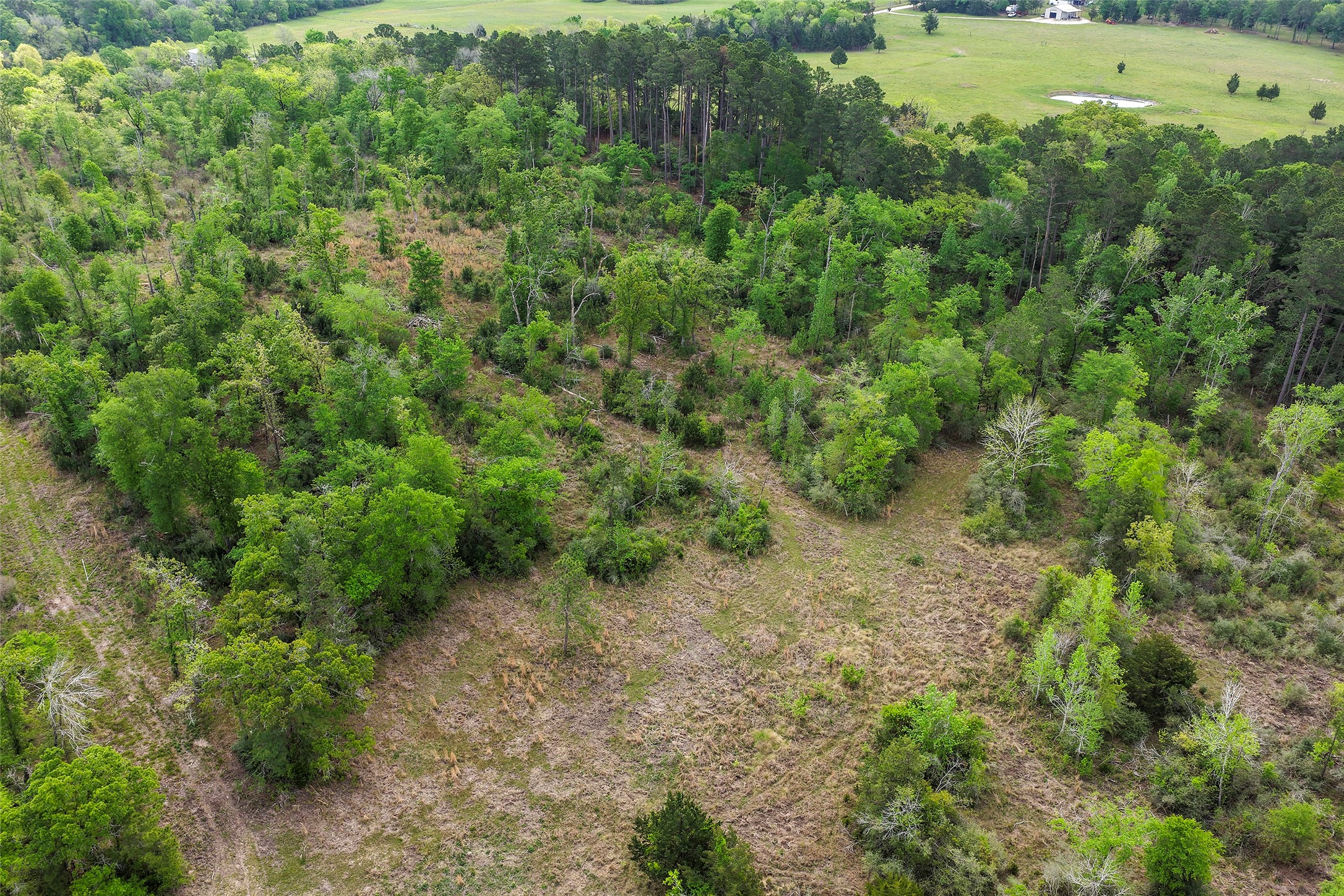 173 Townley Ranch Road Huntsville, TX 77320 - Photo 6 of 14