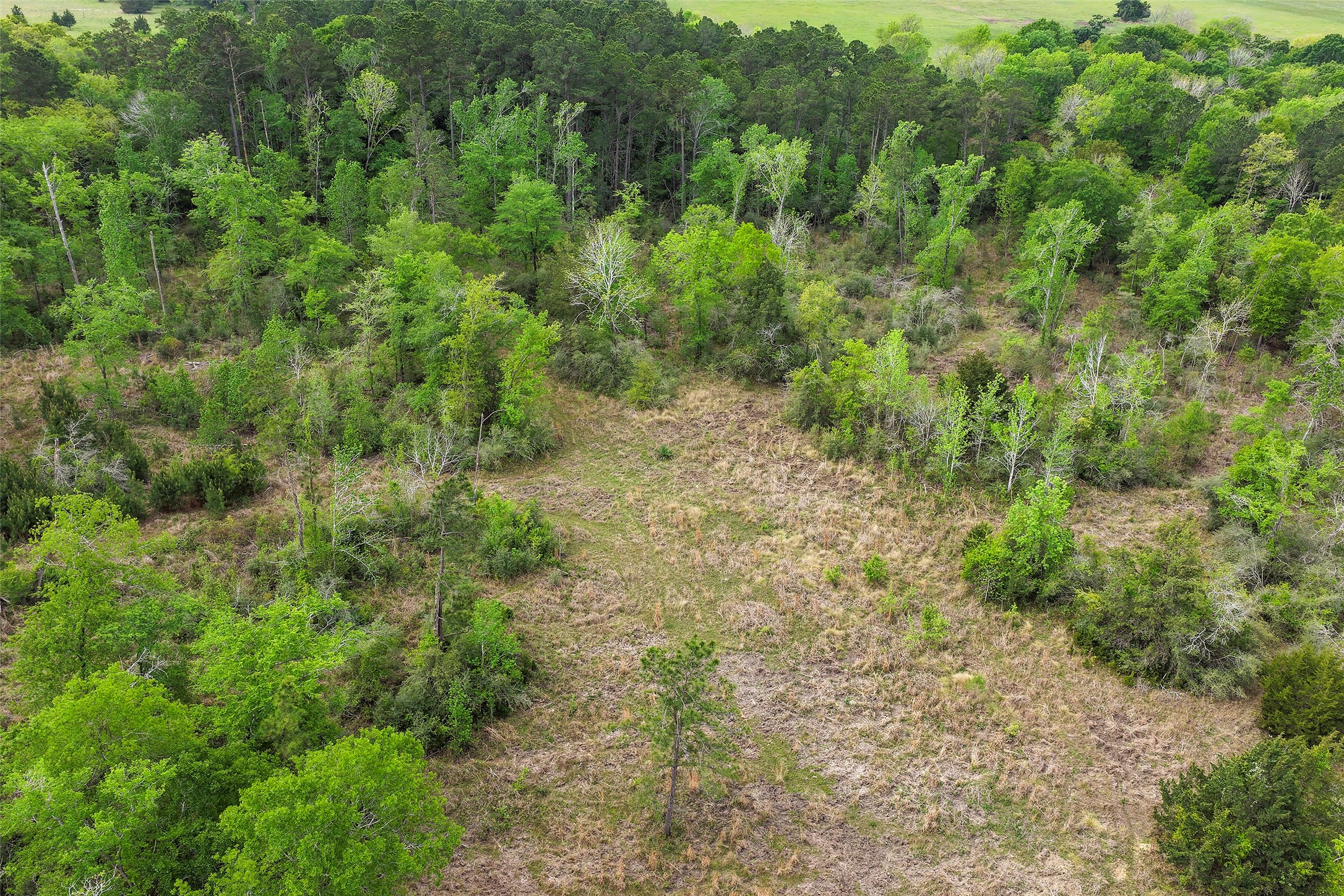 173 Townley Ranch Road Huntsville, TX 77320 - Photo 7 of 14