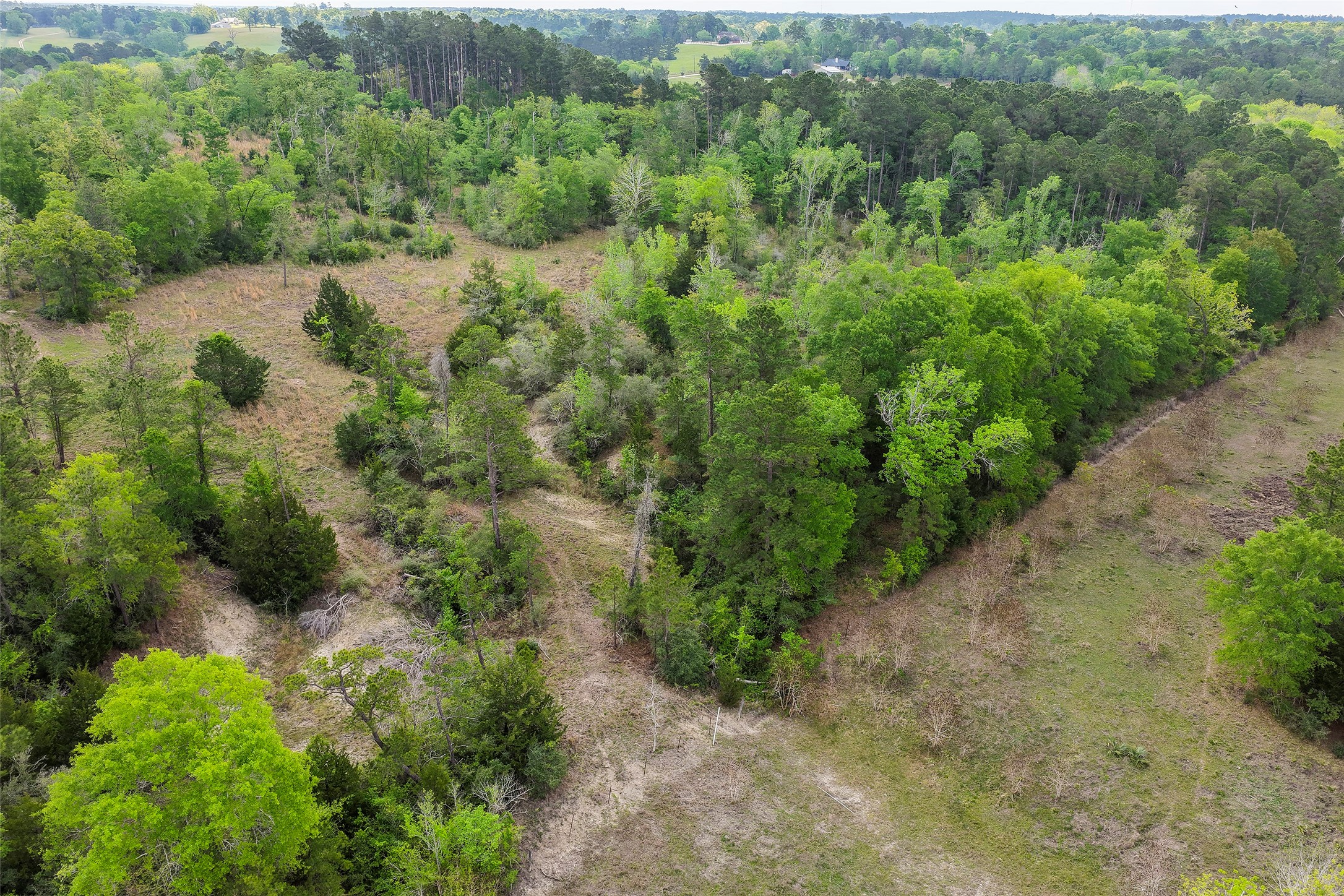 173 Townley Ranch Road Huntsville, TX 77320 - Photo 8 of 14