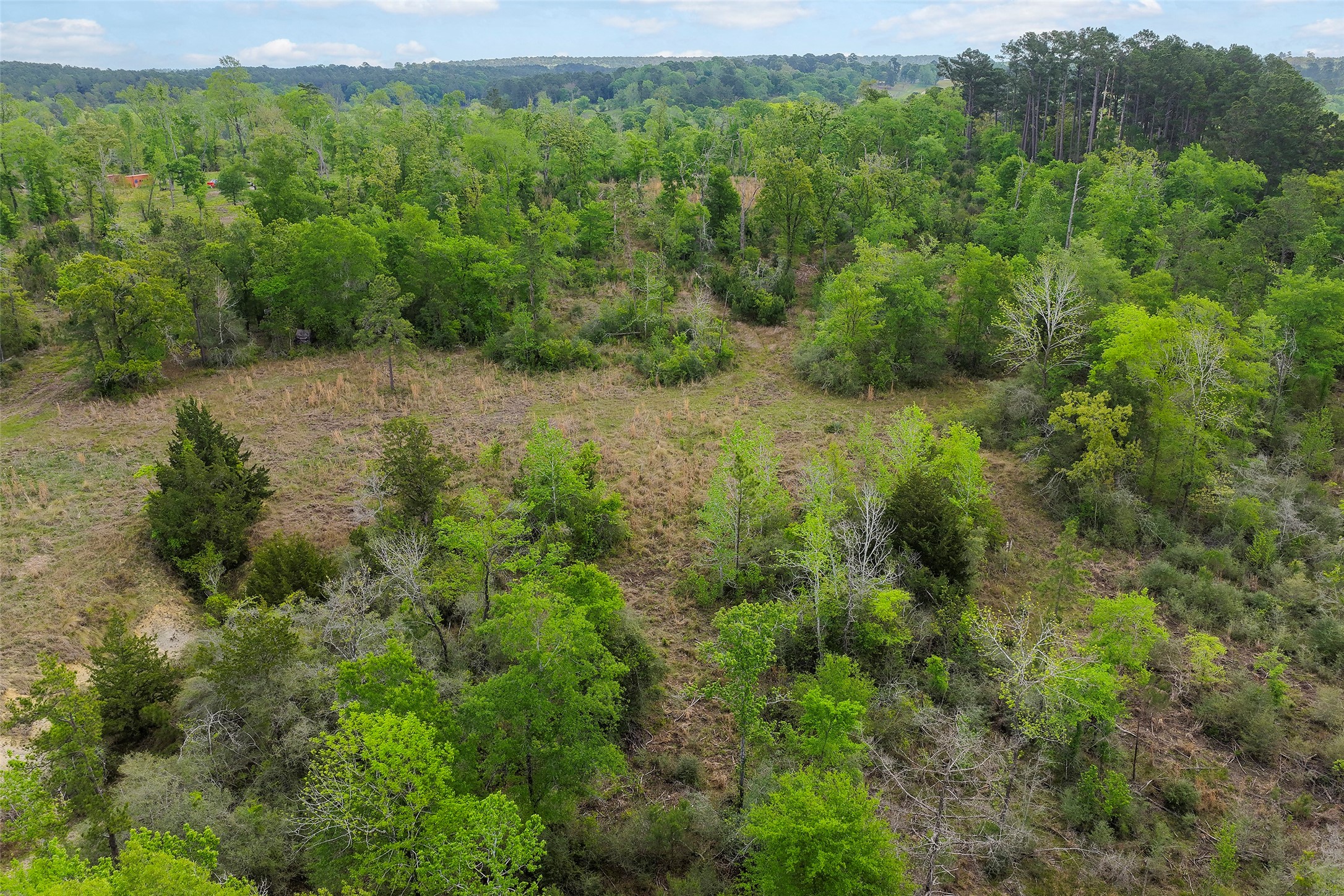 173 Townley Ranch Road Huntsville, TX 77320 - Photo 9 of 14