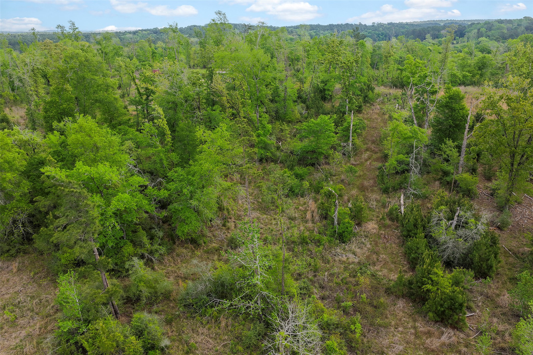 173 Townley Ranch Road Huntsville, TX 77320 - Photo 10 of 14